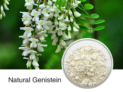 What Is Genistein Good For？